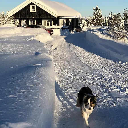 Trivelig By Norgesbooking - At Blefjell *